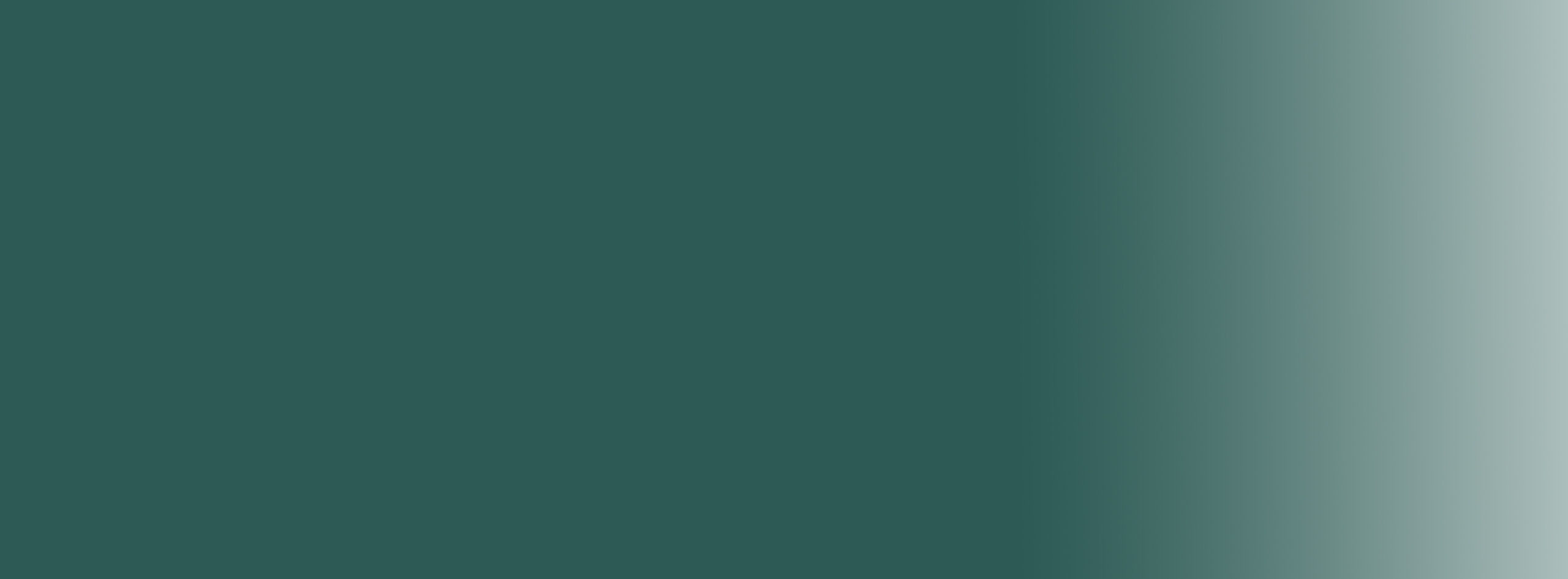 ON-LINEmedia header green mit Farbverlauf