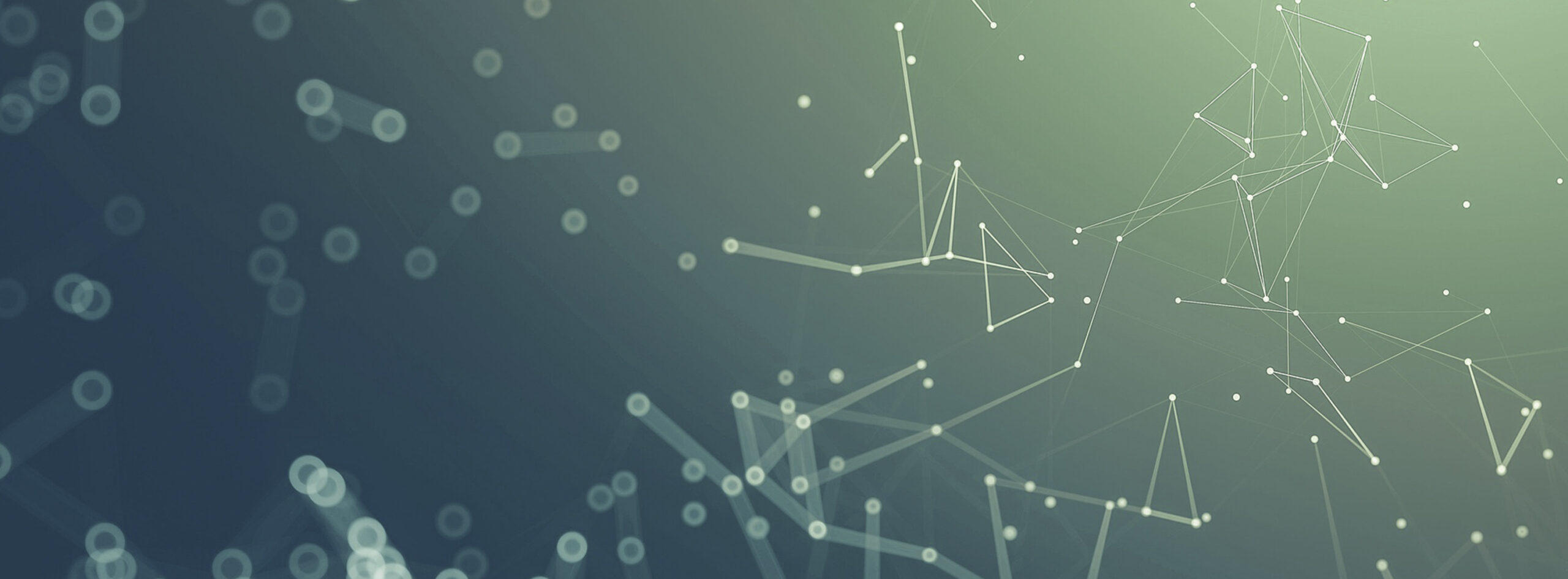 ON-LINEmedia Systemlösungen header